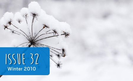 landmarketing issue 32 cover - winter frost