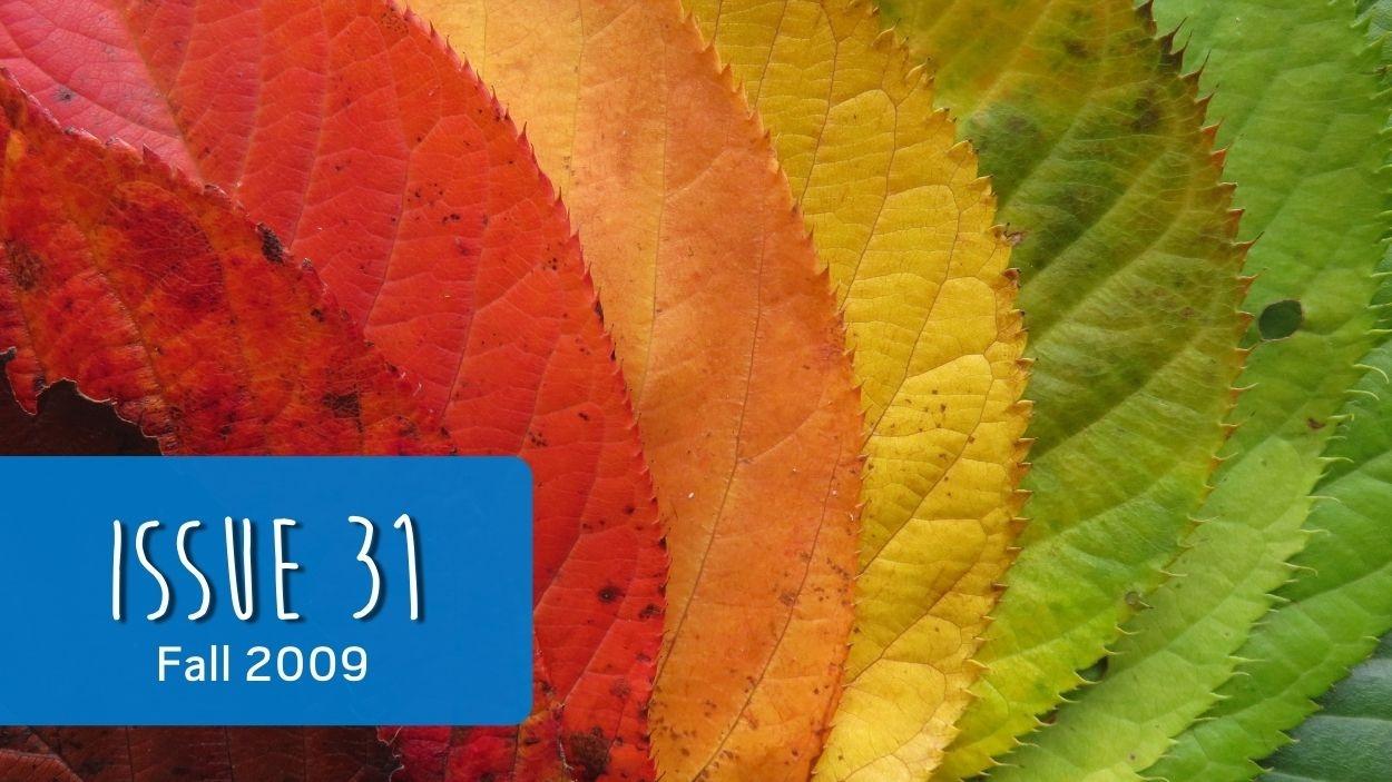 landmarketing issue 31 cover - fall leaves