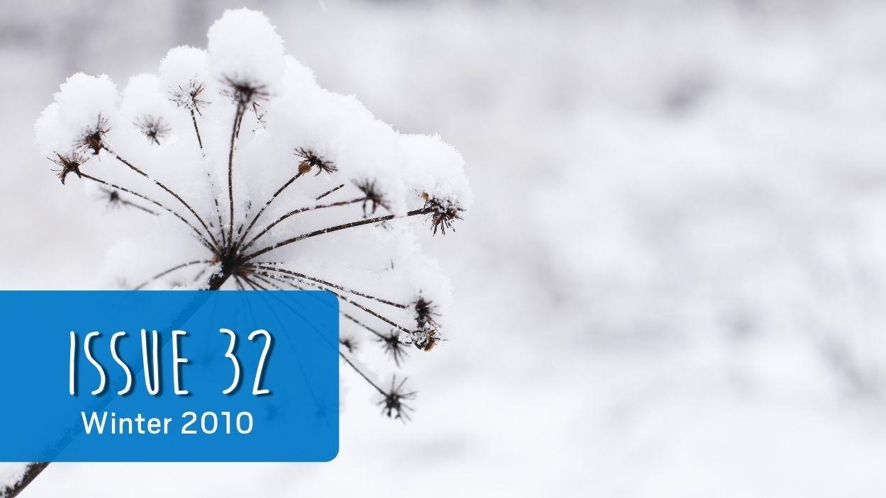landmarketing issue 32 cover - winter frost