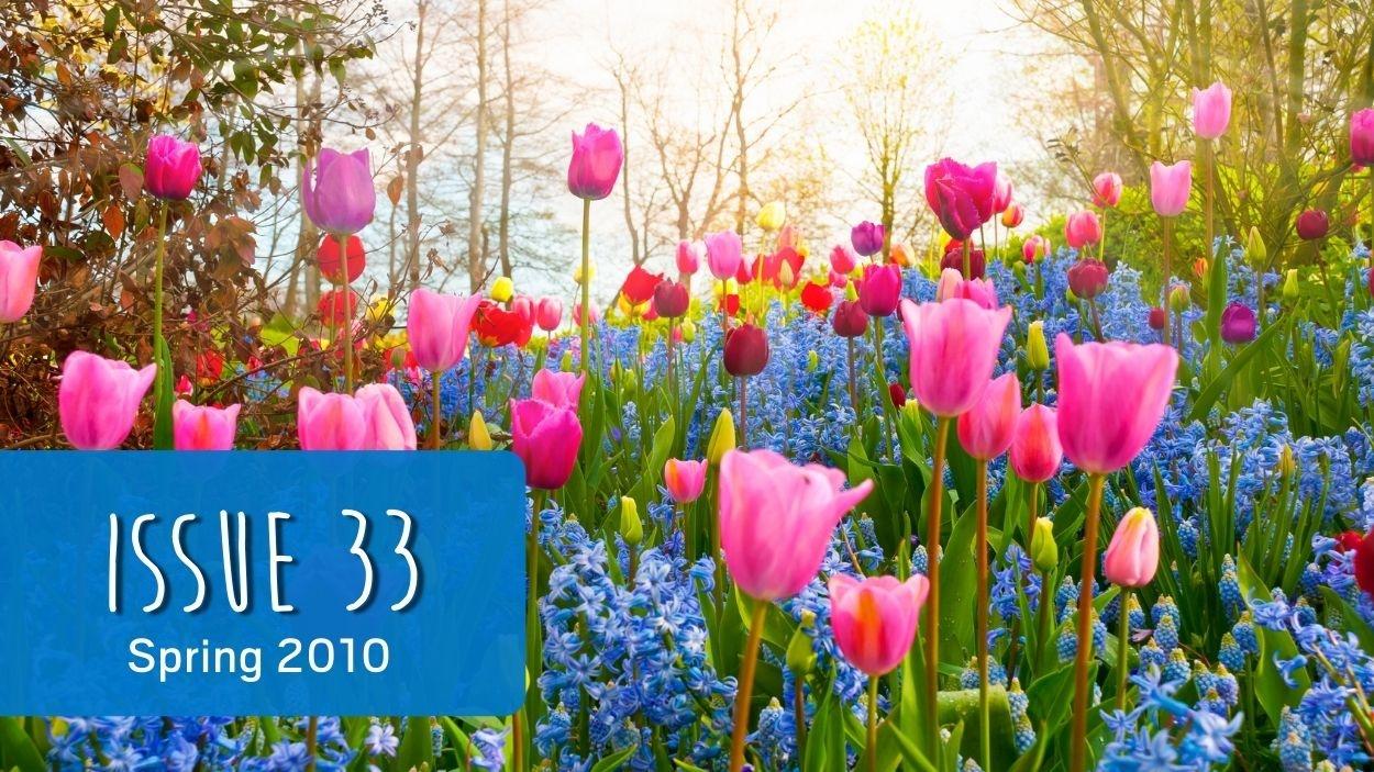 landmarketing cover issue 33 spring tulips