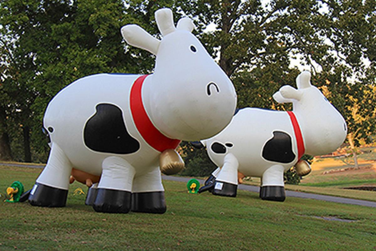 Inflatable Cows