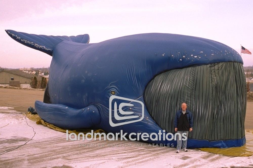 Whale