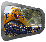 Inflatable Tiger Tunnel