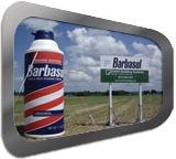 Inflatable Shaving Cream