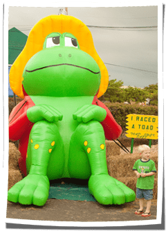 Inflatable Toad Mascot at Community Event