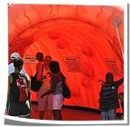 Inside of Inflatable Colon Tunnel