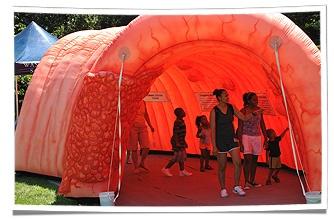 Barnes-Jewish Hospital's Inflatable Colon at Community Outreach Event