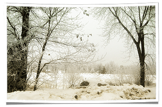 Winter in Minnesota