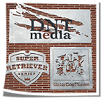 DNT Media Logo