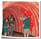 Inflatable Colon
