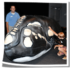 Aquarium Inflatable Whale