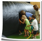 Inflatable Whale