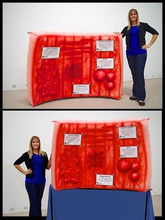 L3601-inflatable-mini-colon