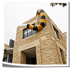 L3705-truman-tiger-tail-thumb