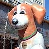 Inflatable Mardi Gras Dog