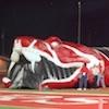 Inflatable Rattlesnake Sports Tunnel