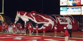 Custom Inflatable Rattlesnake Tunnel for Sharyland High School