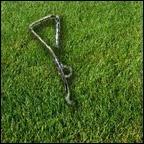Ground Stake