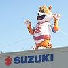 Tiger Mascot on Dealership