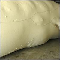 Tristin Lowe's Inflatable Whale Art Installation