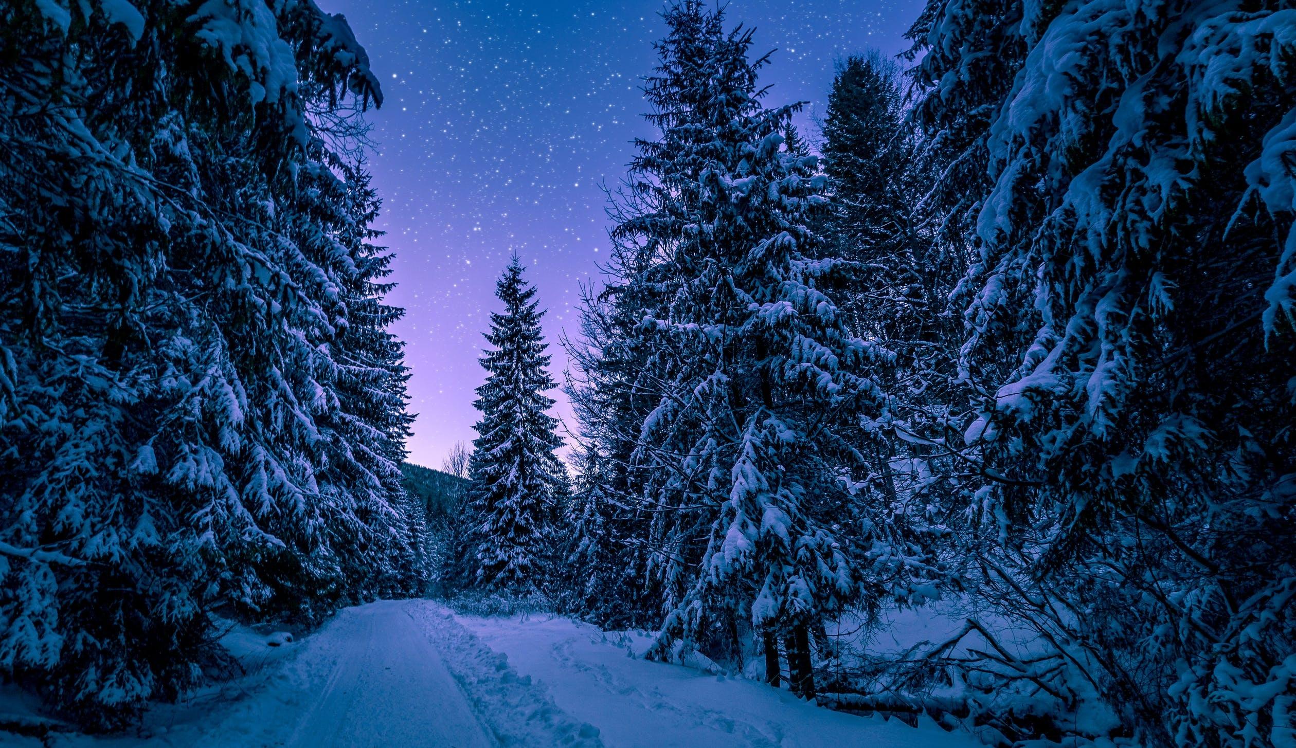 Landmarketing Issue 13 Welcome - Winter Scene
