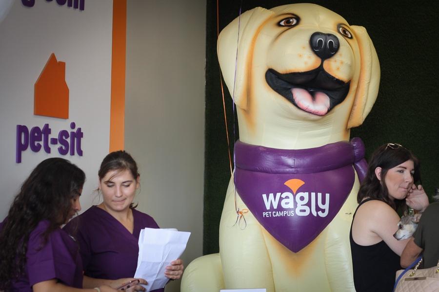 Wagly Custom Inflatable Dog Mascot at Trade Show