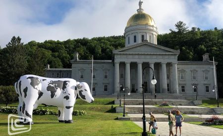 custom inflatable world cow in front of capital